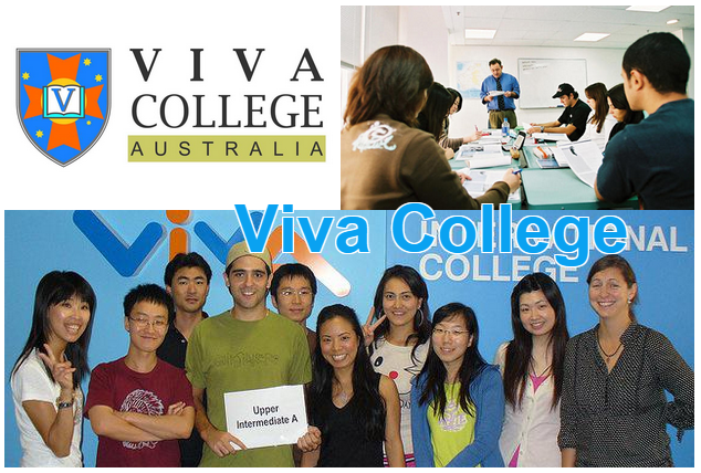 viva-college