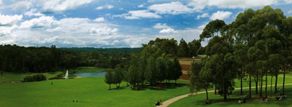 Macquarie University で Accounting