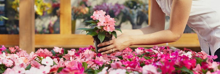 花屋 フローリスト オーストラリア