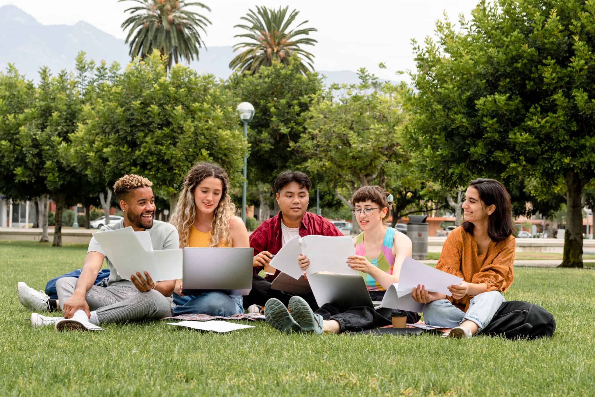 大学生が公園で勉強している写真