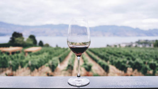 赤ワインとブドウ畑